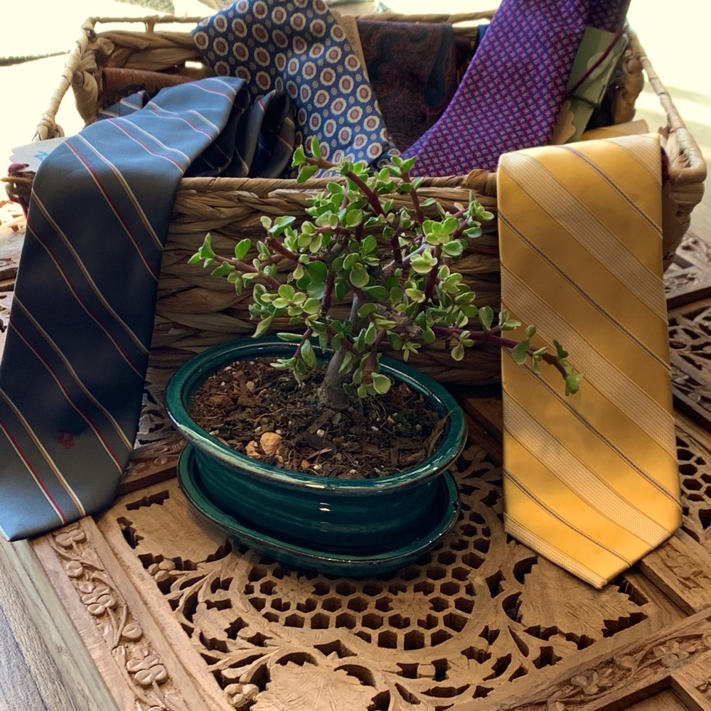LOT Of 15 Men’s Neckties